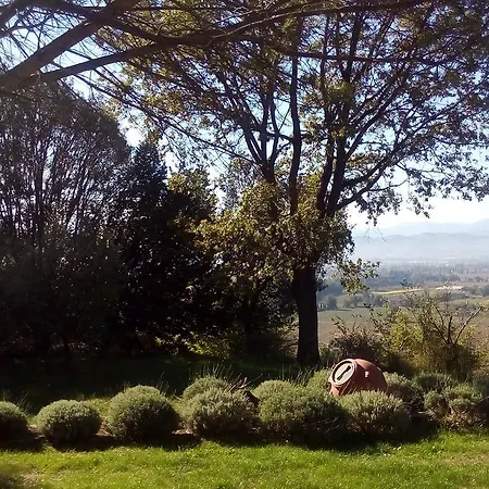 Le Colline Di Plinio Couette-café San Giustino